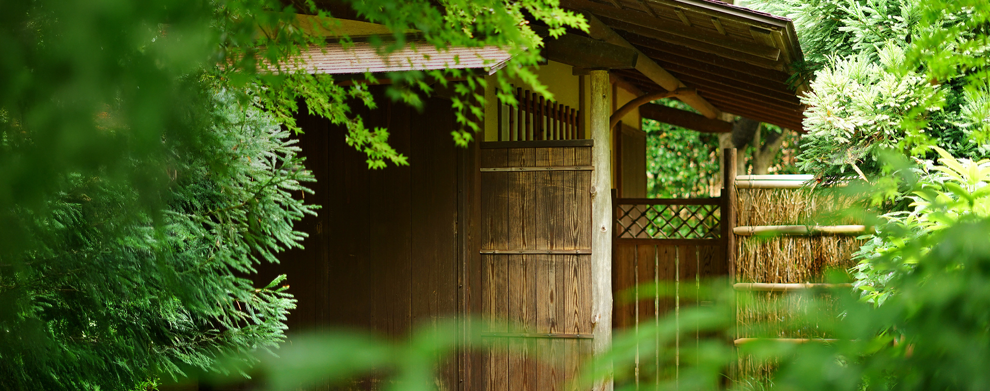 株式会社LUXU REALITY